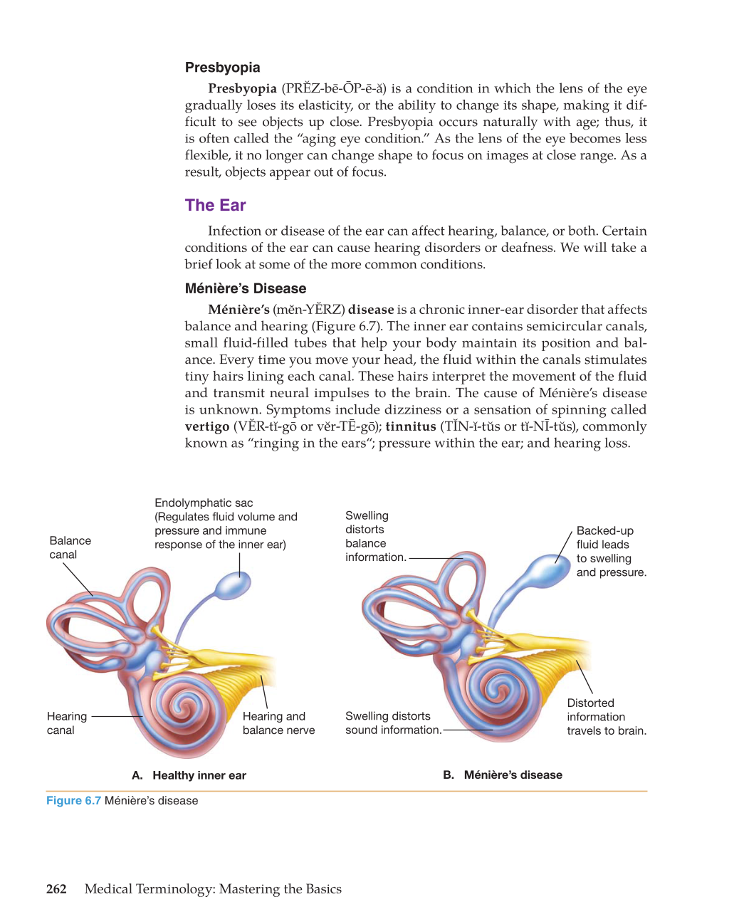 Medical Terminology: Mastering the Basics, 1st Edition page 262