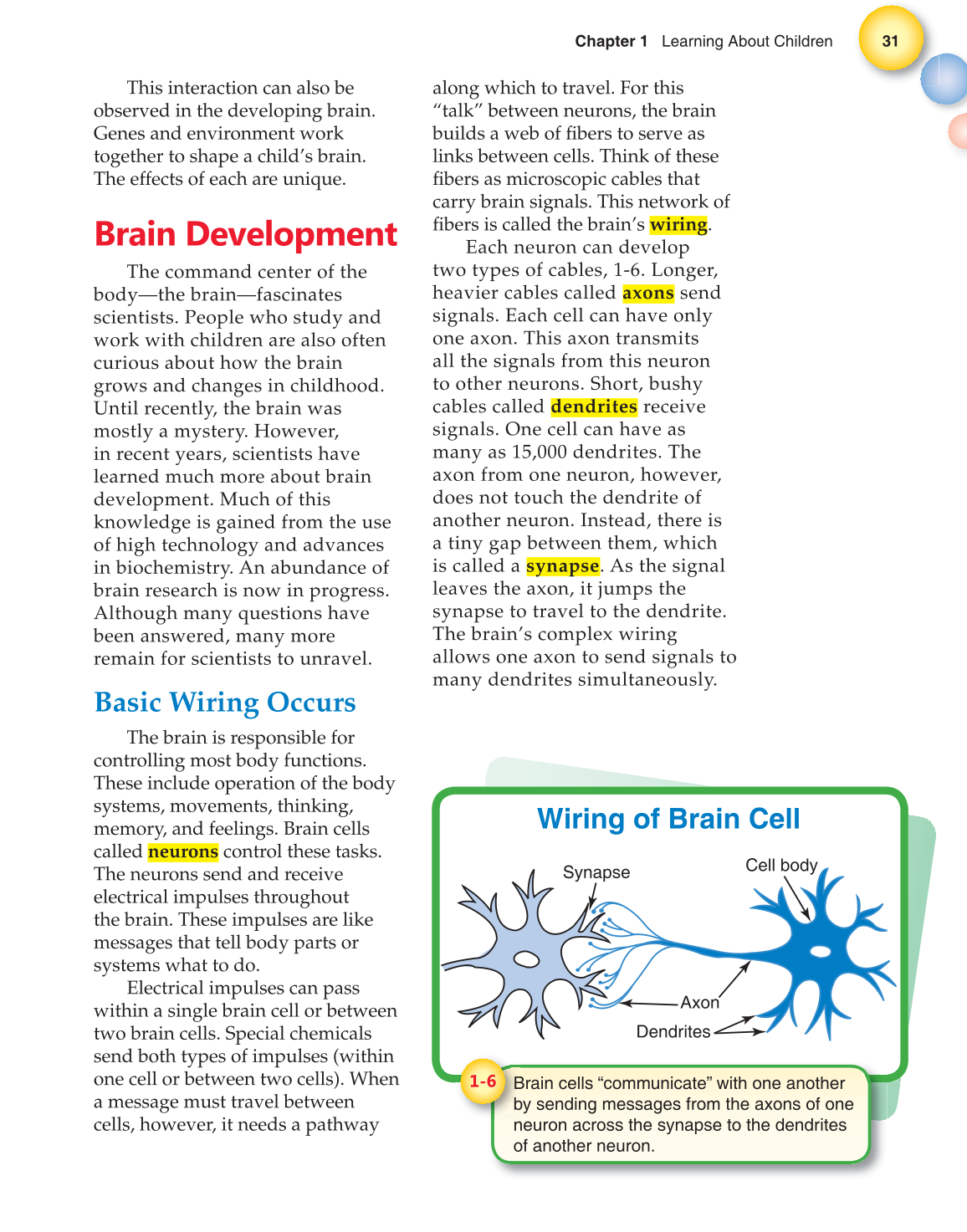 Child Development: Early Stages Through Age 12, 7th Edition page 31