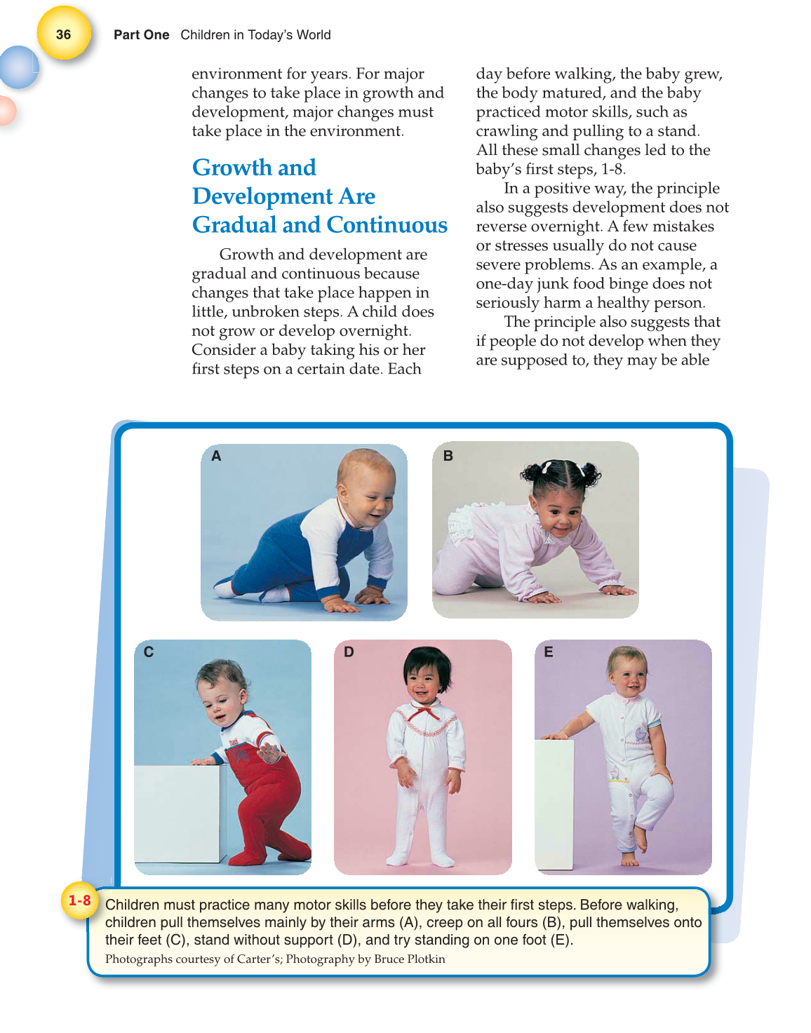 Child Development: Early Stages Through Age 12, 7th Edition page 36