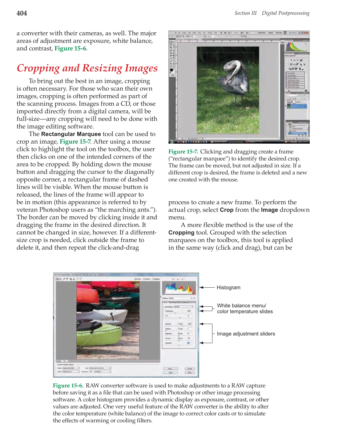 Photography: Capture to Presentation, 2nd Edition page 404