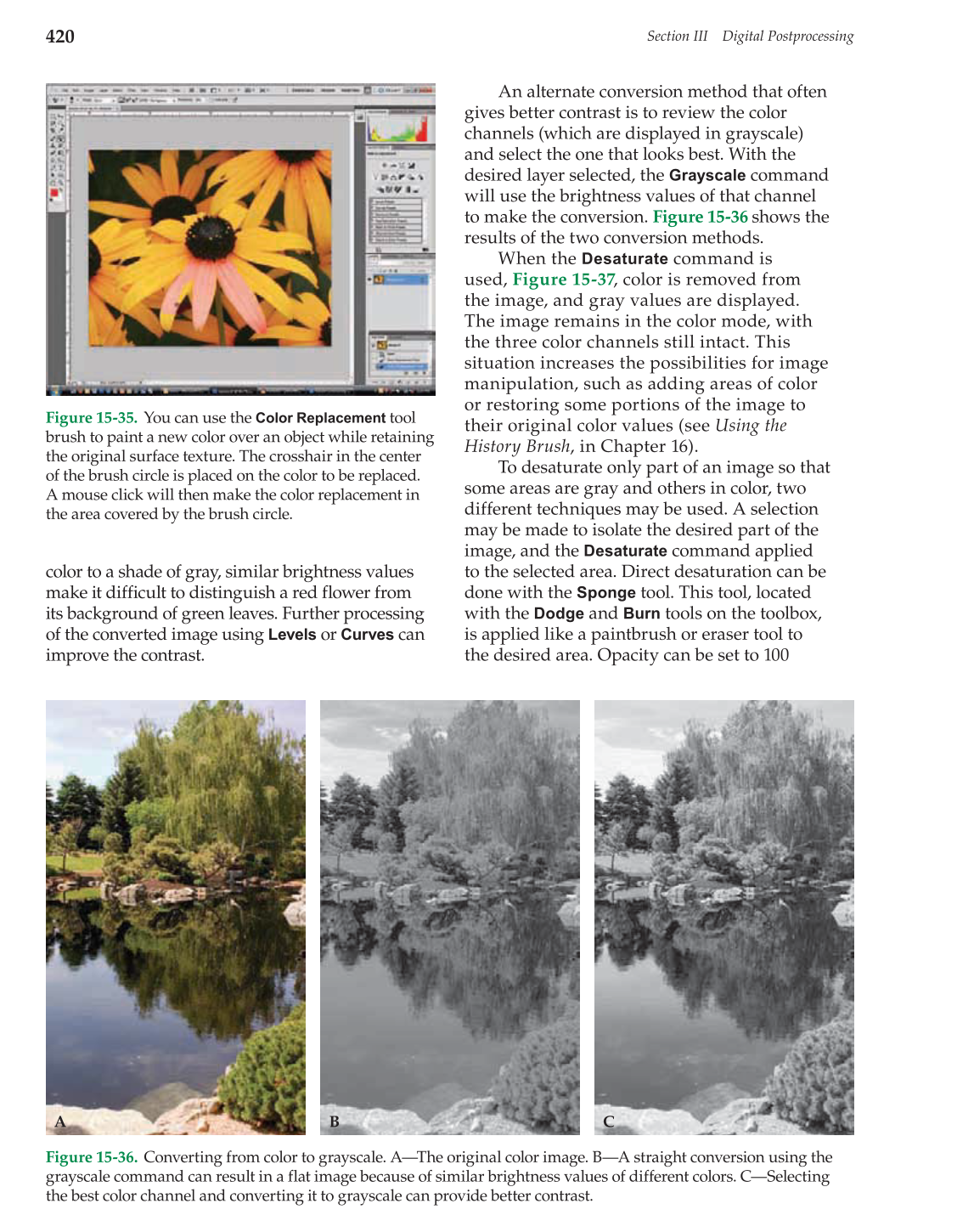 Photography: Capture to Presentation, 2nd Edition page 420