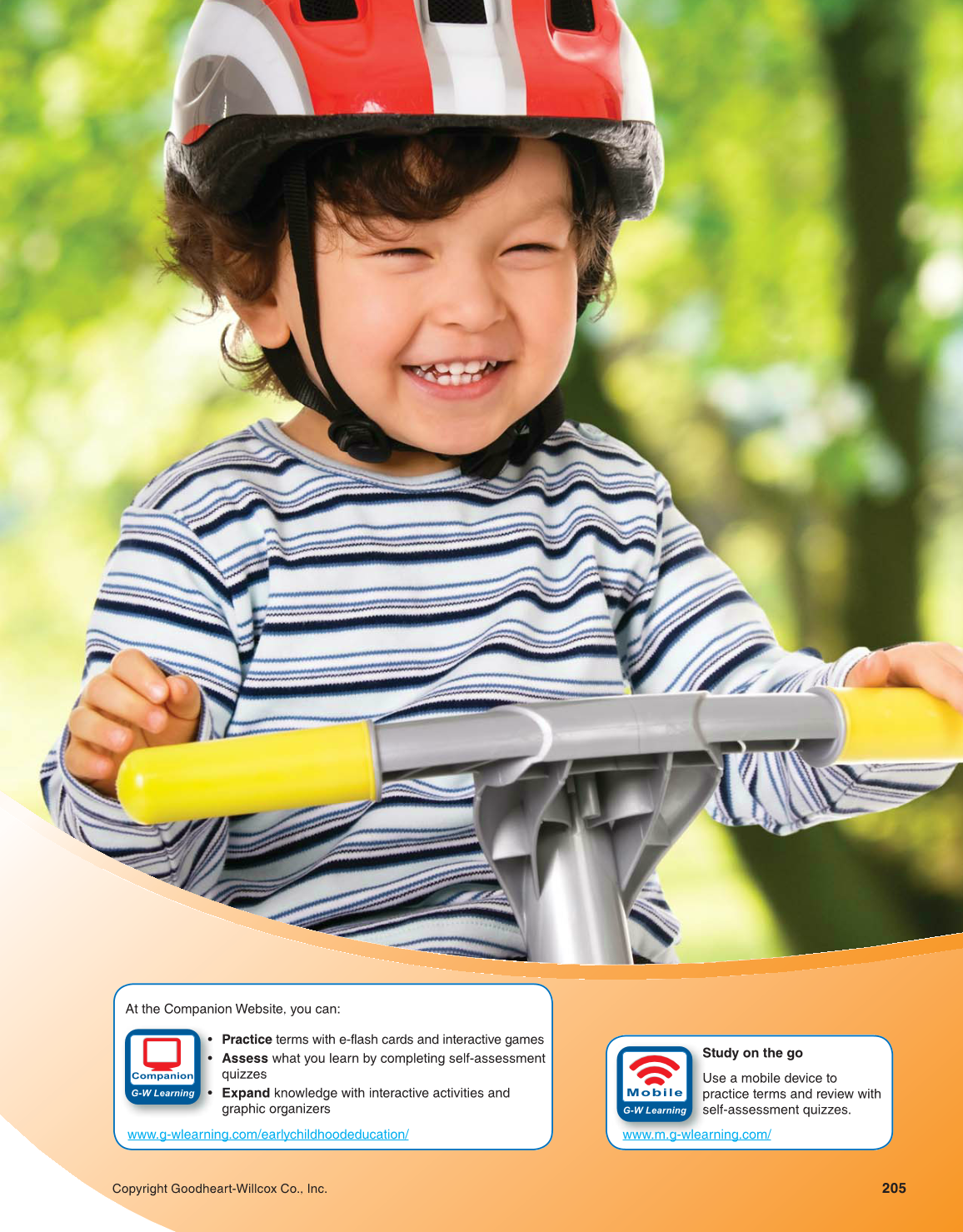 Working with Young Children, 8th Edition page 205
