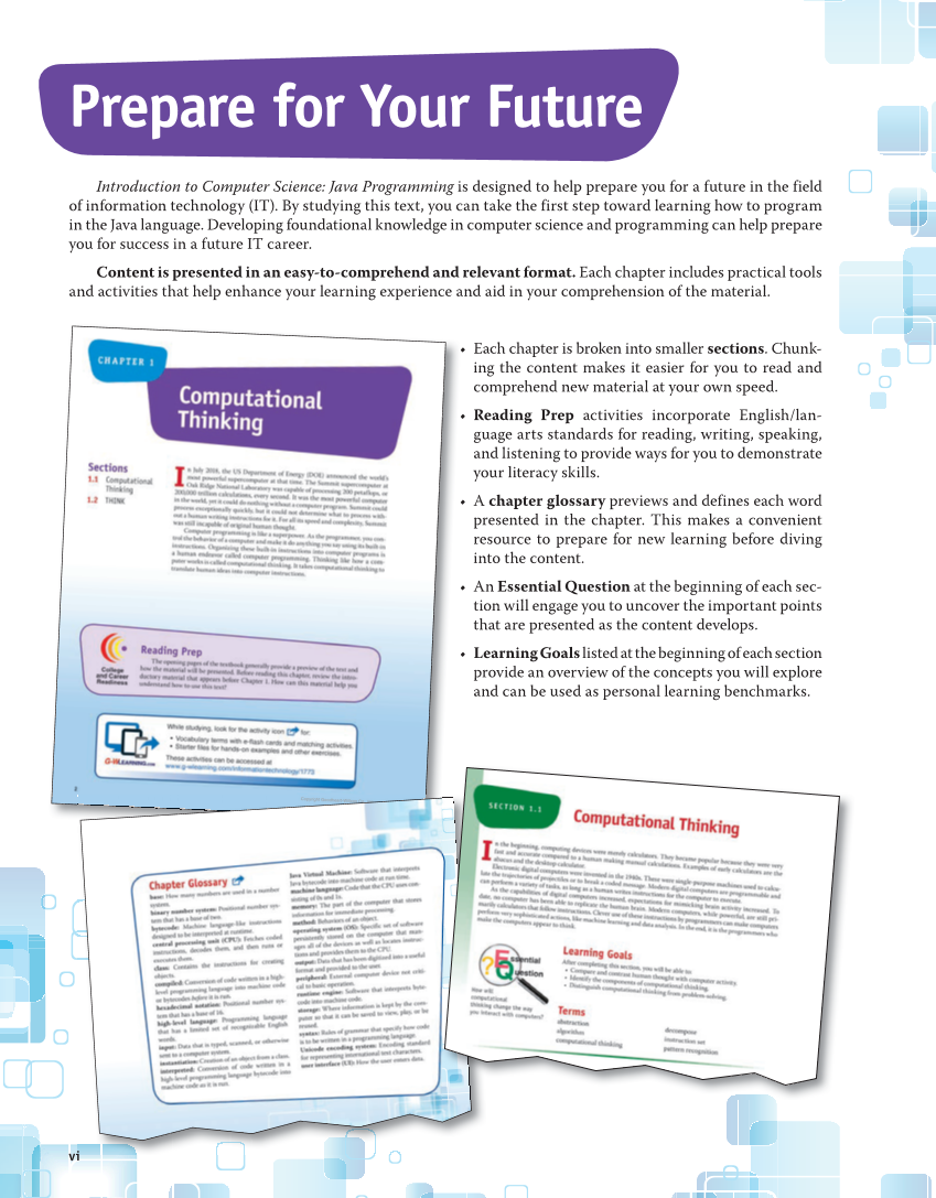 Introduction to Computer Science: Java Programming, 1st Edition page vi