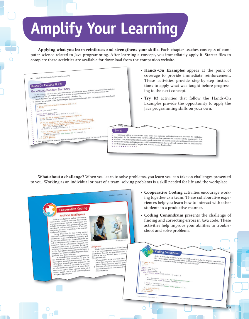 Introduction to Computer Science: Java Programming, 1st Edition page vii