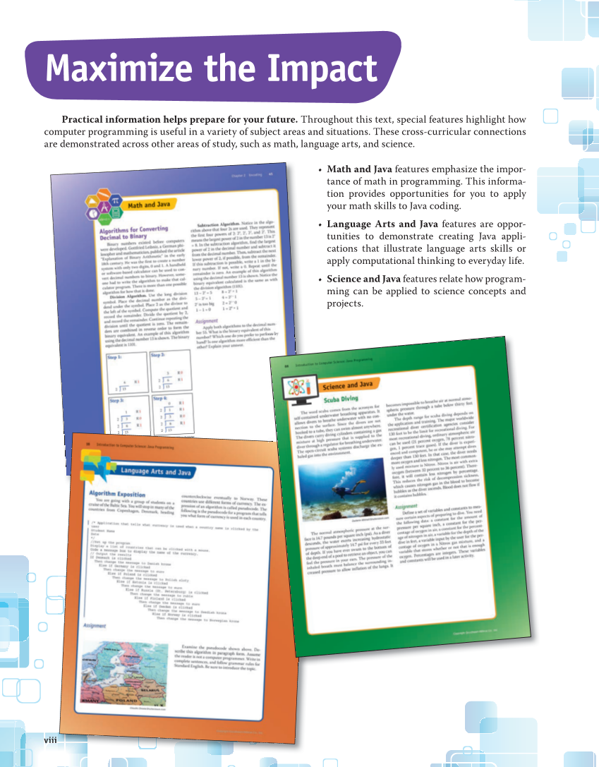 Introduction to Computer Science: Java Programming, 1st Edition page viii