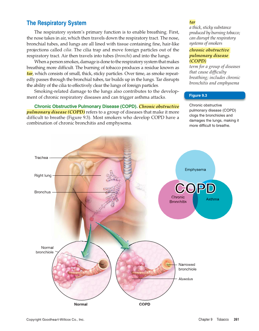 Comprehensive Health, 2nd Edition page 261