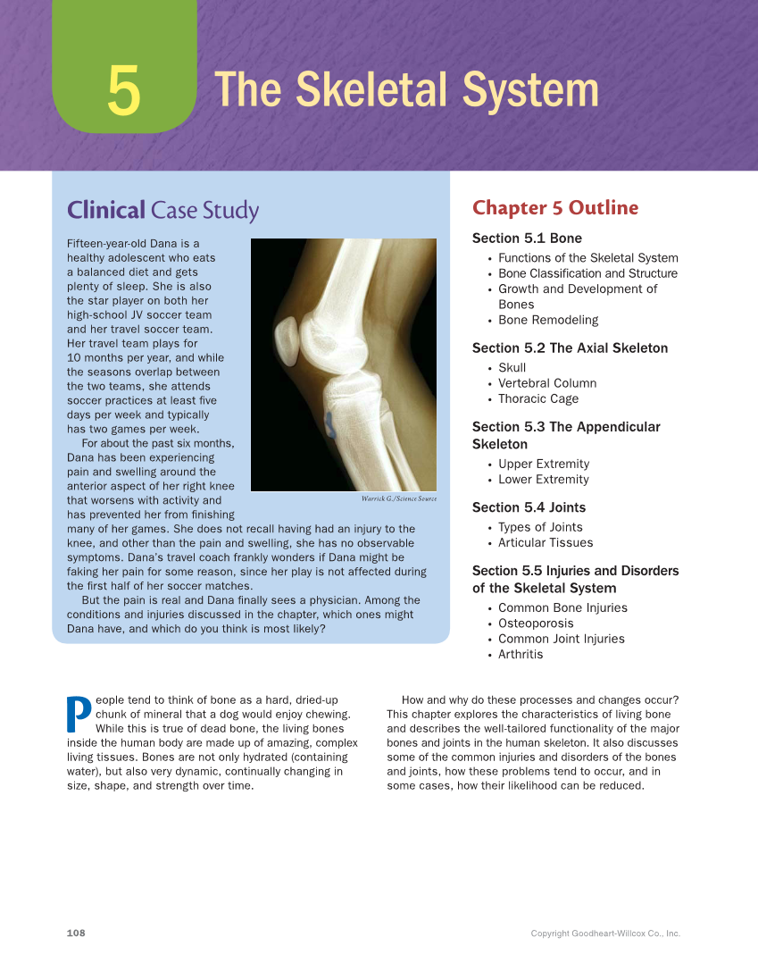Anatomy & Physiology Essentials, 1st Edition page 108