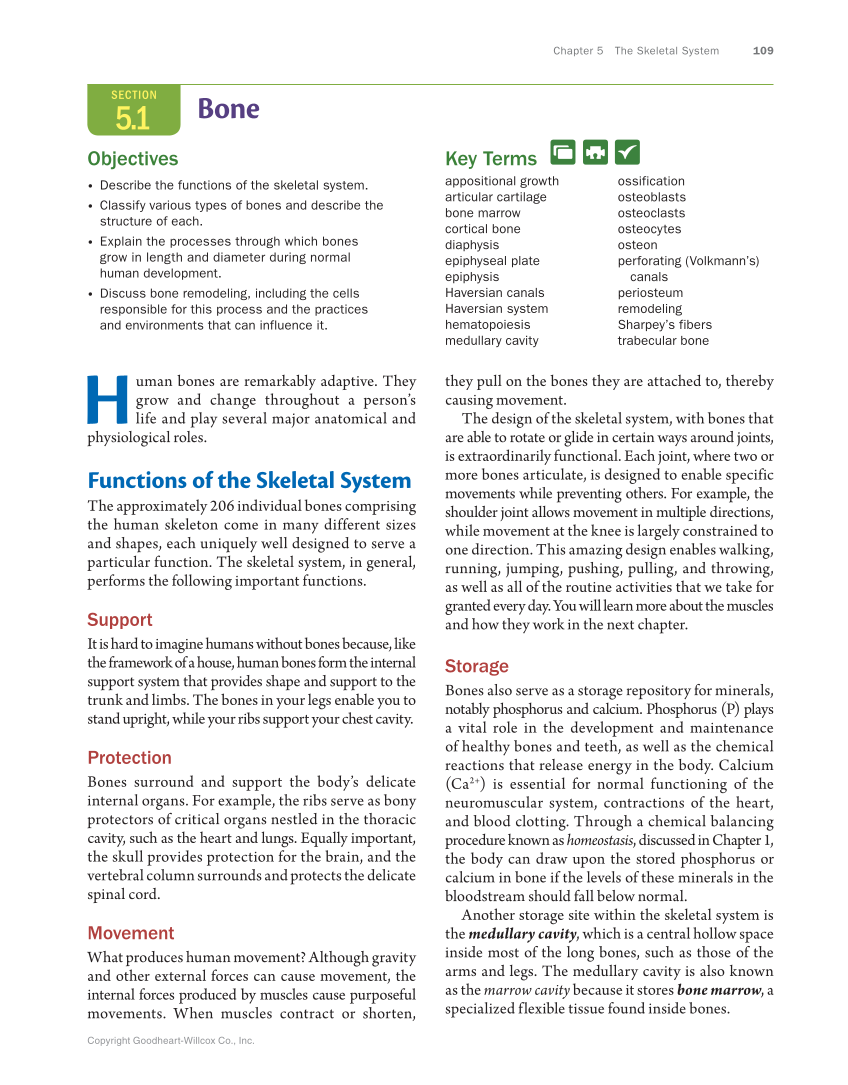 Anatomy & Physiology Essentials, 1st Edition page 109