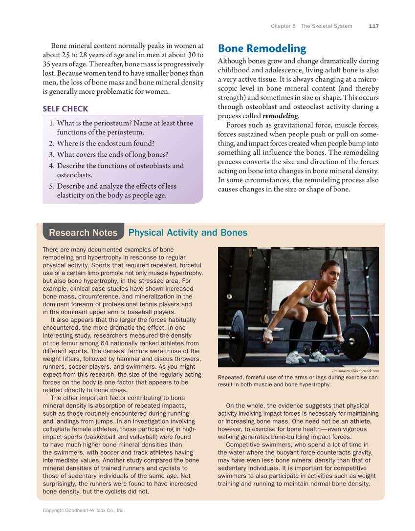 Anatomy & Physiology Essentials, 1st Edition page 117