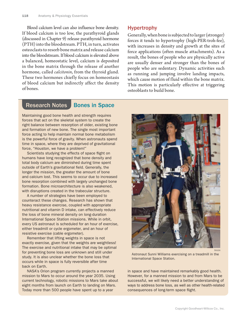 Anatomy & Physiology Essentials, 1st Edition page 118