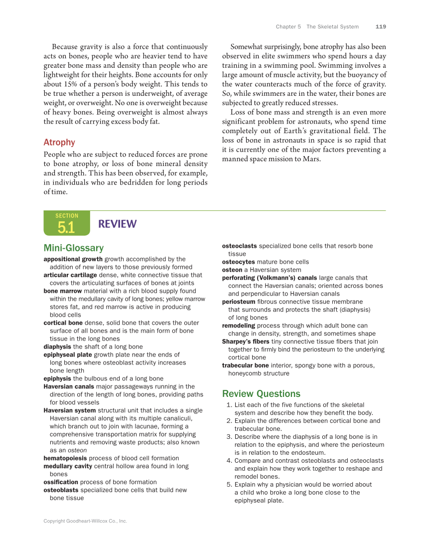 Anatomy & Physiology Essentials, 1st Edition page 119