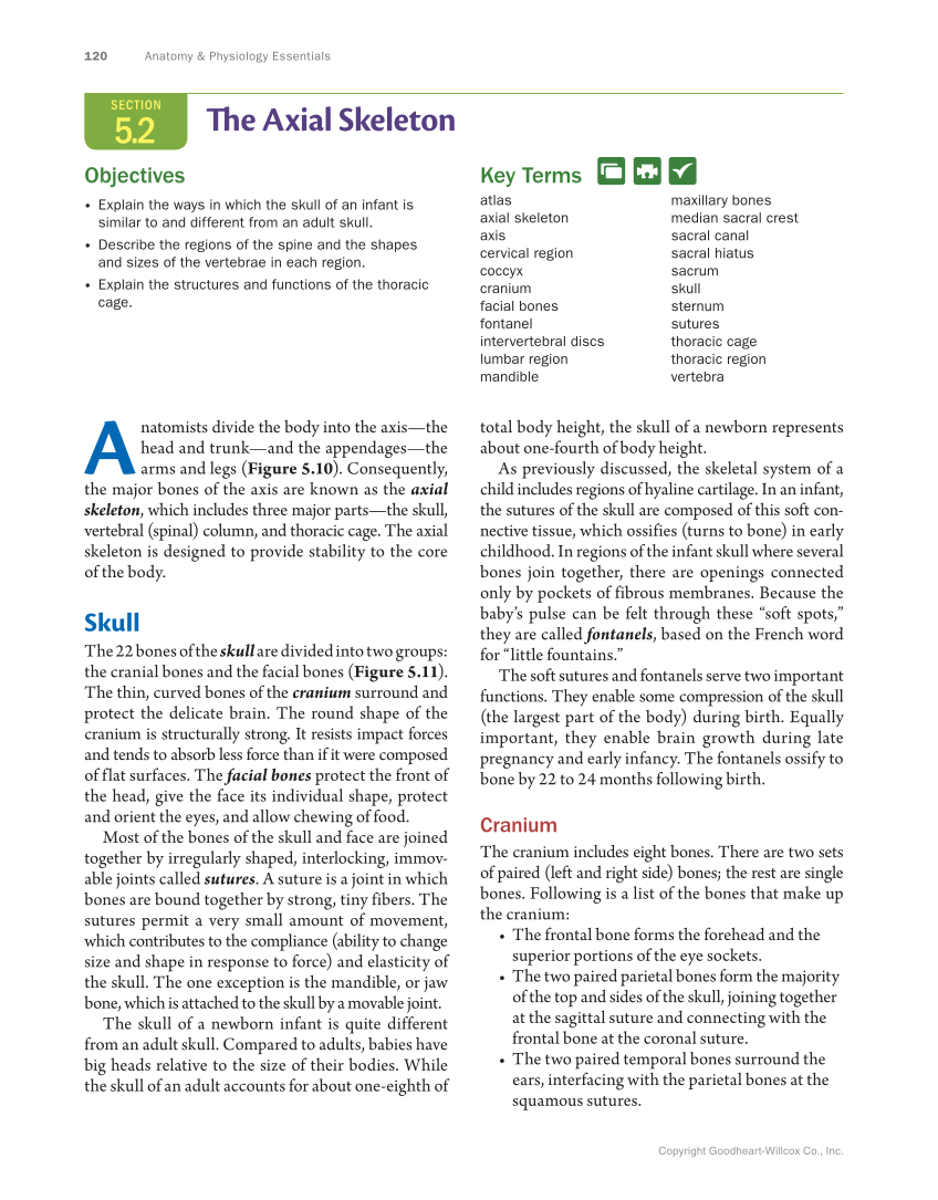 Anatomy & Physiology Essentials, 1st Edition page 120