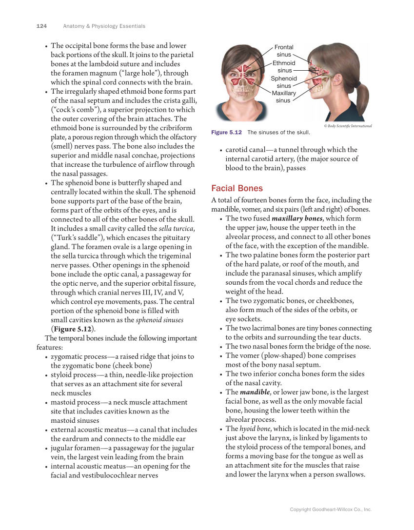 Anatomy & Physiology Essentials, 1st Edition page 124