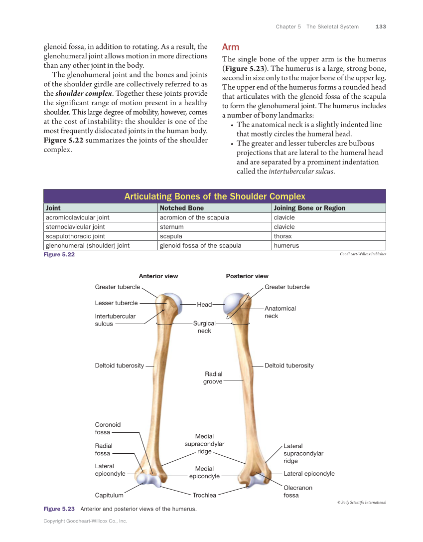 Anatomy & Physiology Essentials, 1st Edition page 133