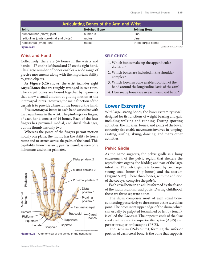 Anatomy & Physiology Essentials, 1st Edition page 135