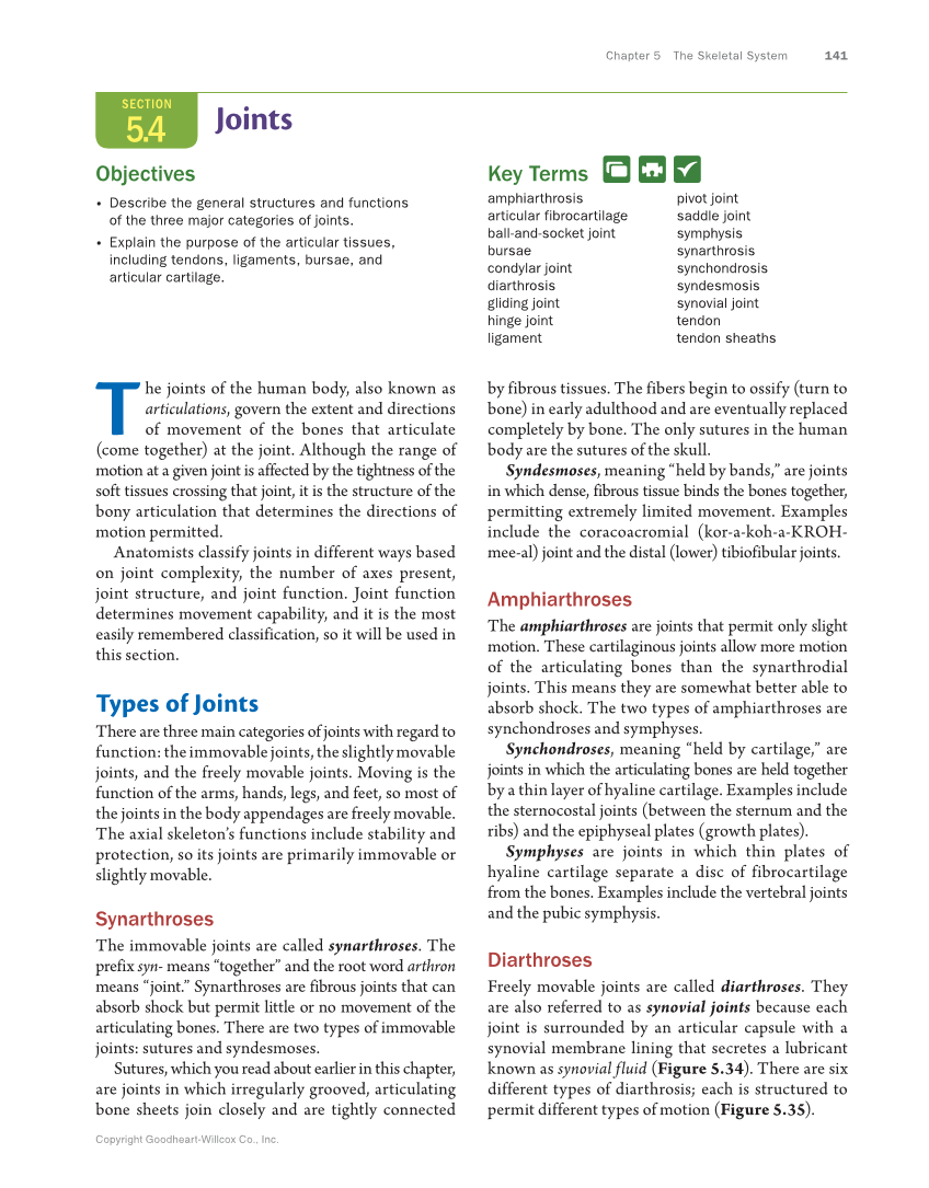 Anatomy & Physiology Essentials, 1st Edition page 141