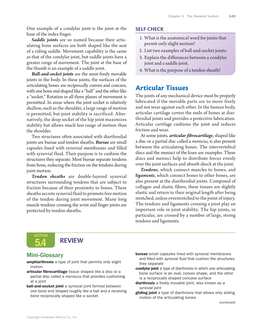 Anatomy & Physiology Essentials, 1st Edition page 143