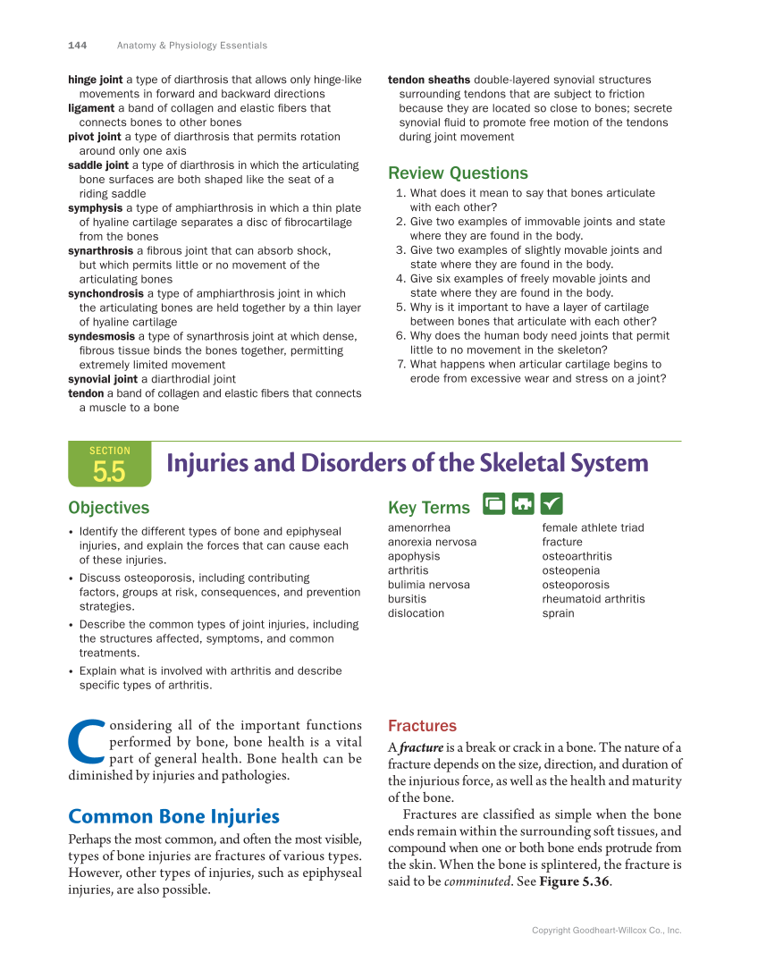 Anatomy & Physiology Essentials, 1st Edition page 144