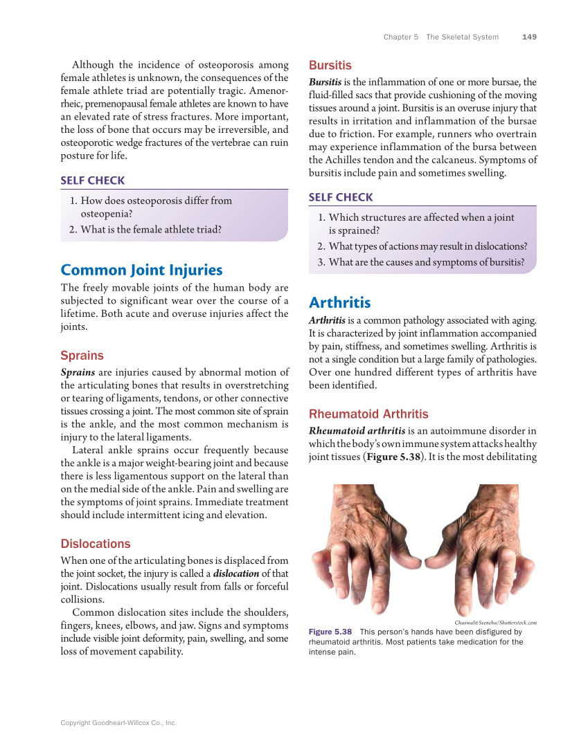 Anatomy & Physiology Essentials, 1st Edition page 149