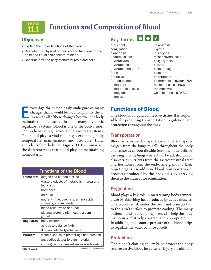 Anatomy & Physiology Essentials, 1st Edition page 323