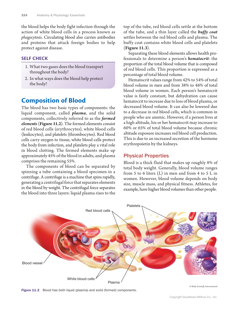 Anatomy & Physiology Essentials, 1st Edition page 324