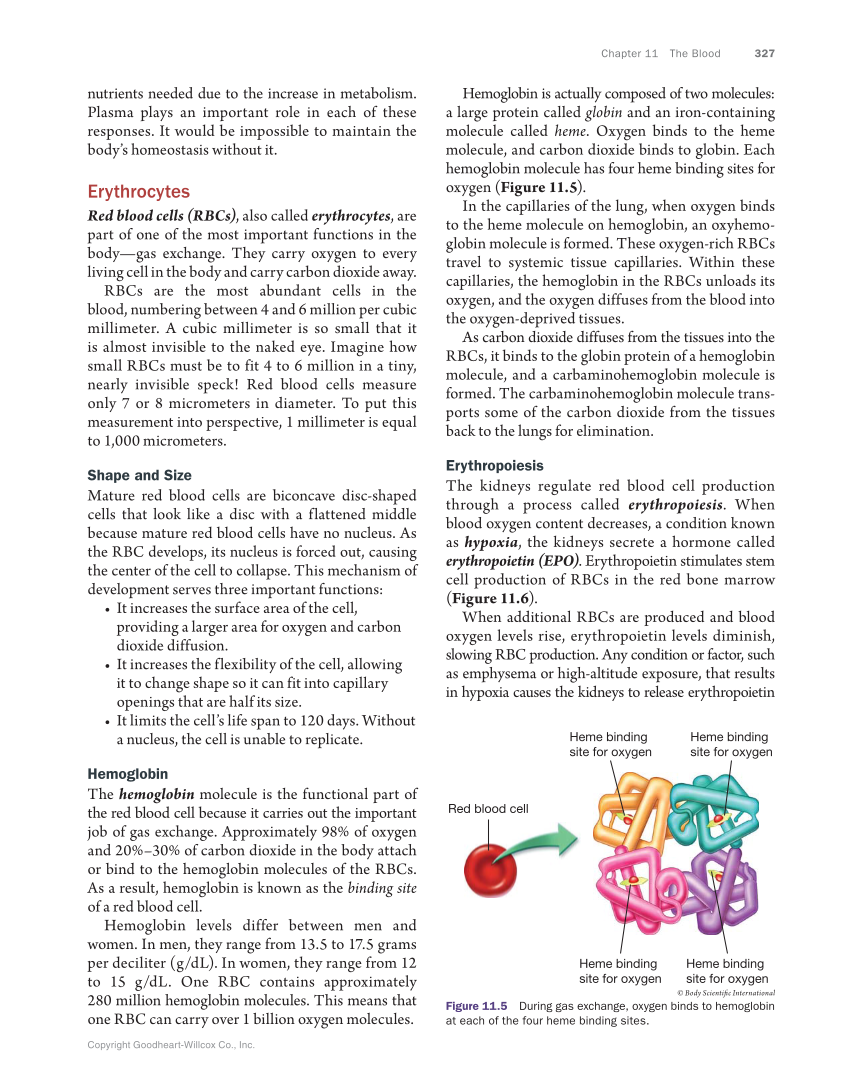 Anatomy & Physiology Essentials, 1st Edition page 327