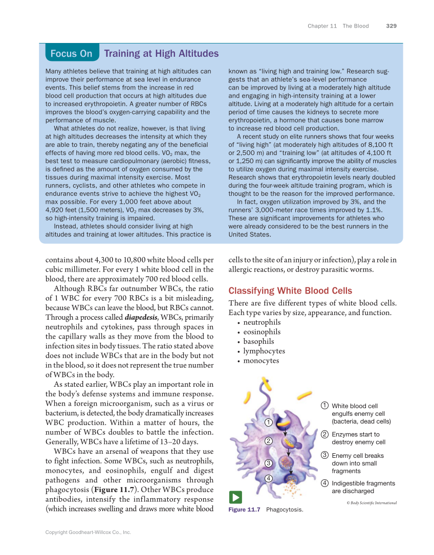 Anatomy & Physiology Essentials, 1st Edition page 329