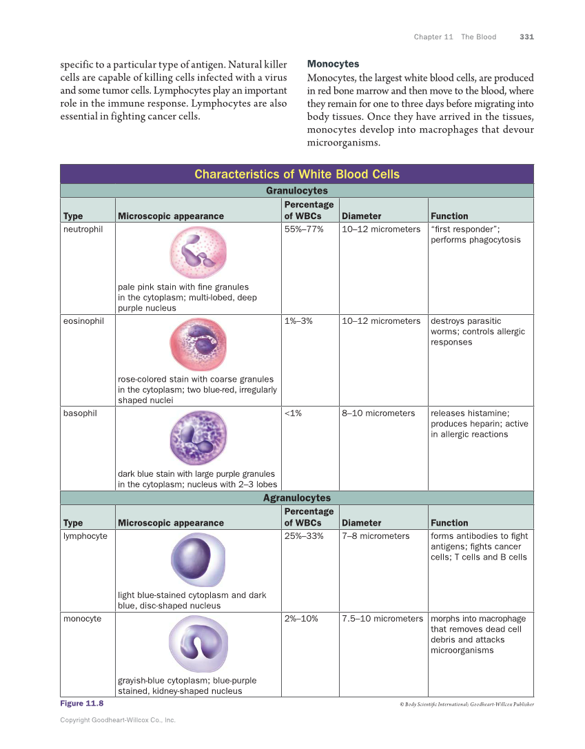 Anatomy & Physiology Essentials, 1st Edition page 331