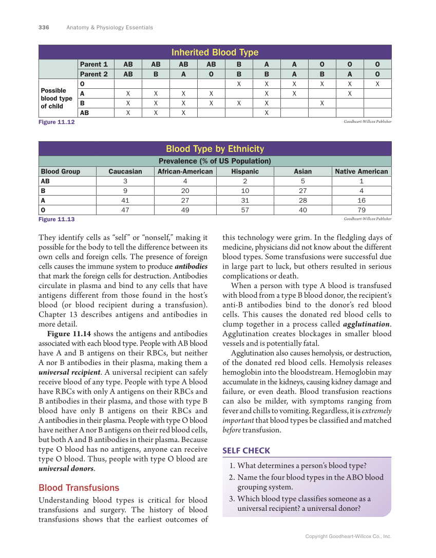 Anatomy & Physiology Essentials, 1st Edition page 336