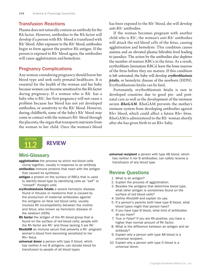 Anatomy & Physiology Essentials, 1st Edition page 338