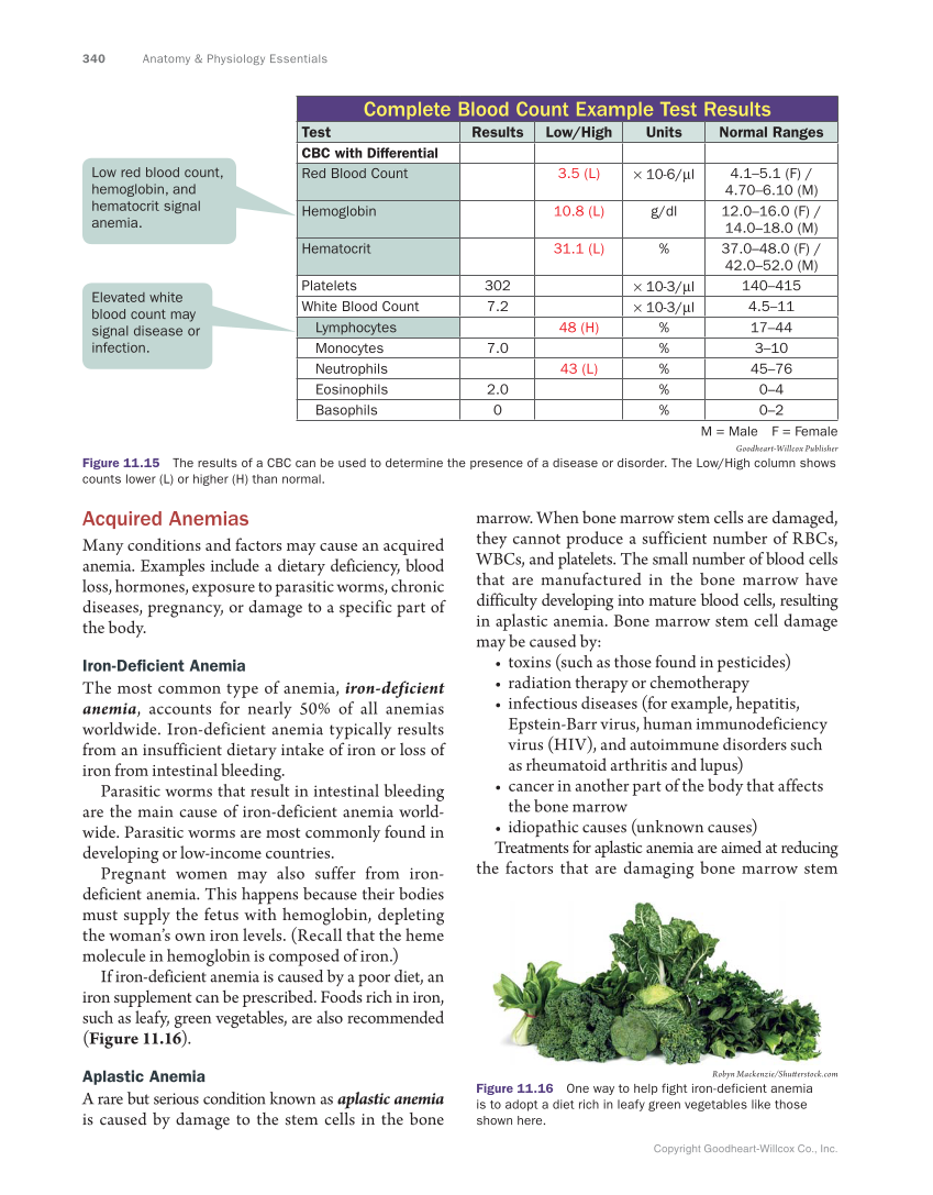 Anatomy & Physiology Essentials, 1st Edition page 340