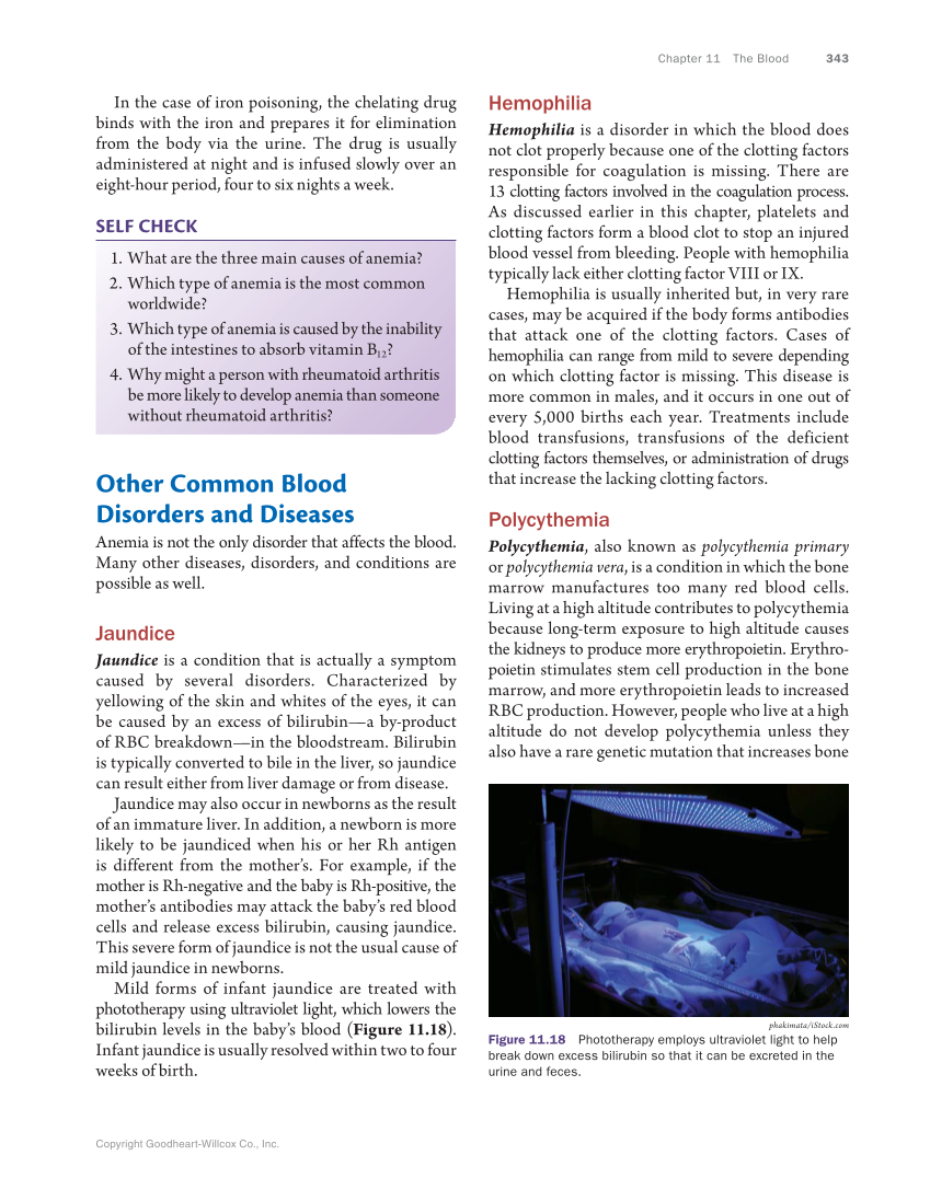 Anatomy & Physiology Essentials, 1st Edition page 343
