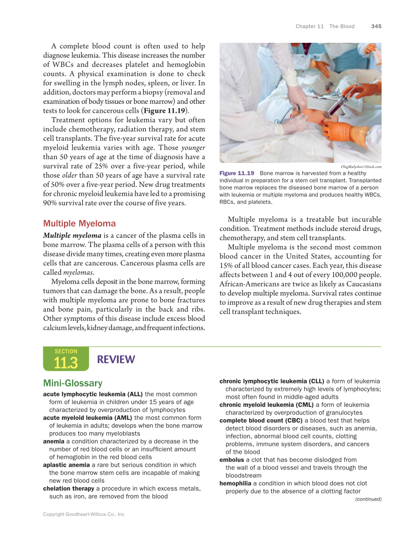 Anatomy & Physiology Essentials, 1st Edition page 345