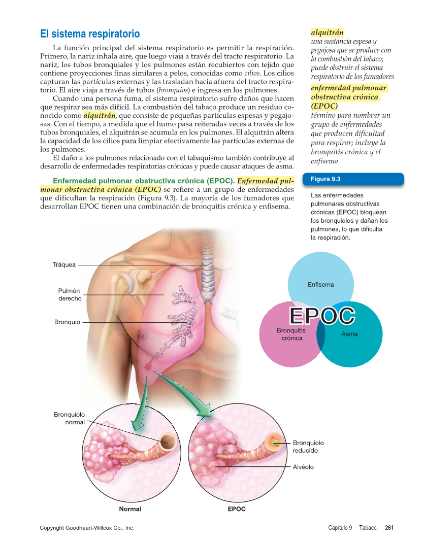 Salud integral, Segunda edición page 261