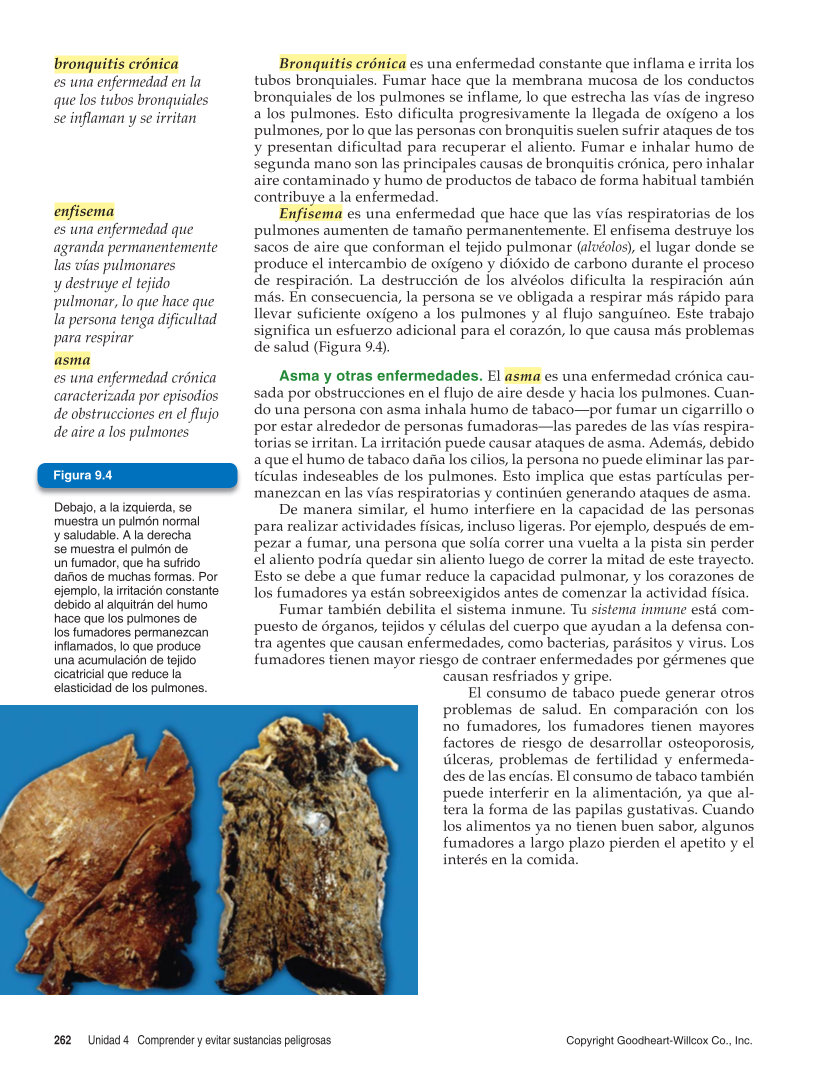Salud integral, Segunda edición page 262
