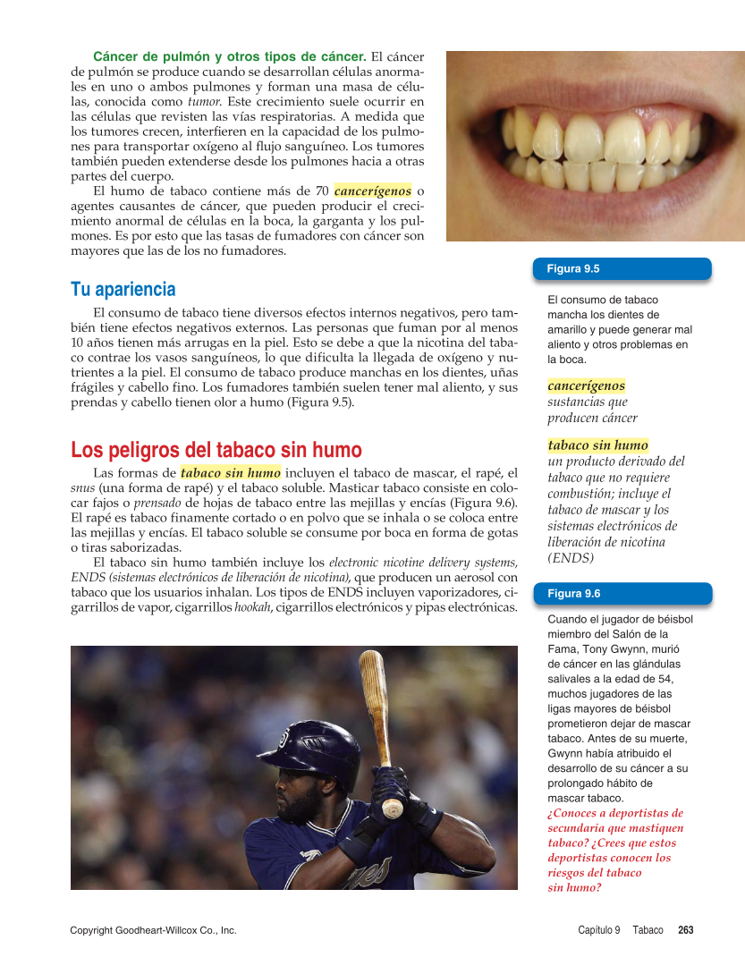 Salud integral, Segunda edición page 263