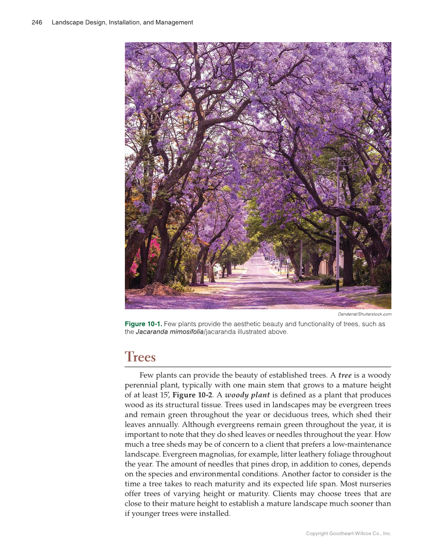 Landscape Design, Installation, and Management, 1st Edition page 246