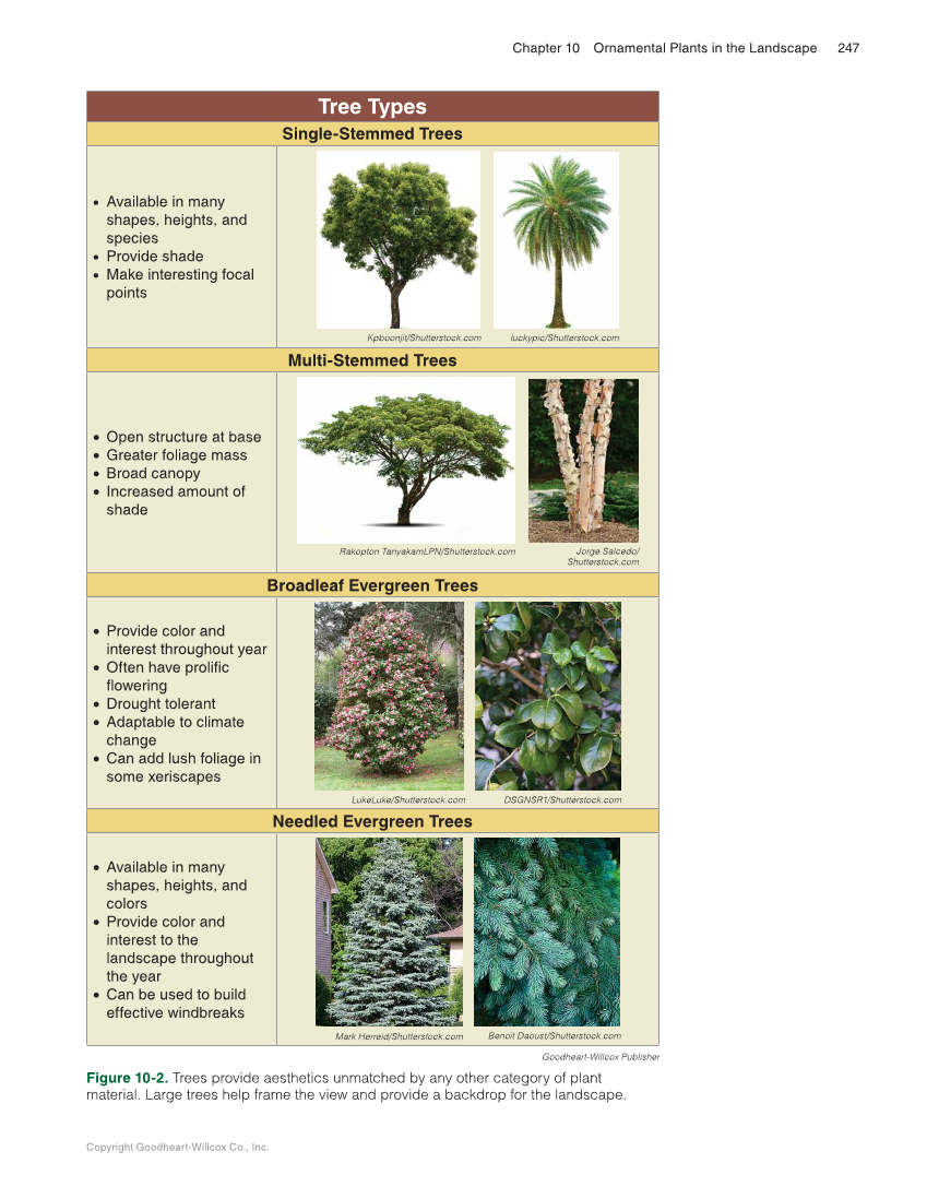 Landscape Design, Installation, and Management, 1st Edition page 247