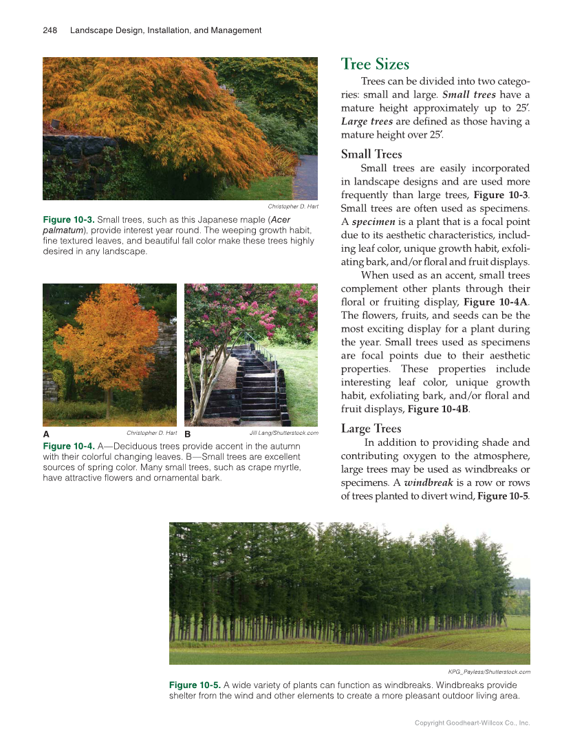 Landscape Design, Installation, and Management, 1st Edition page 248