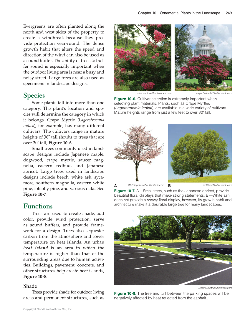 Landscape Design, Installation, and Management, 1st Edition page 249