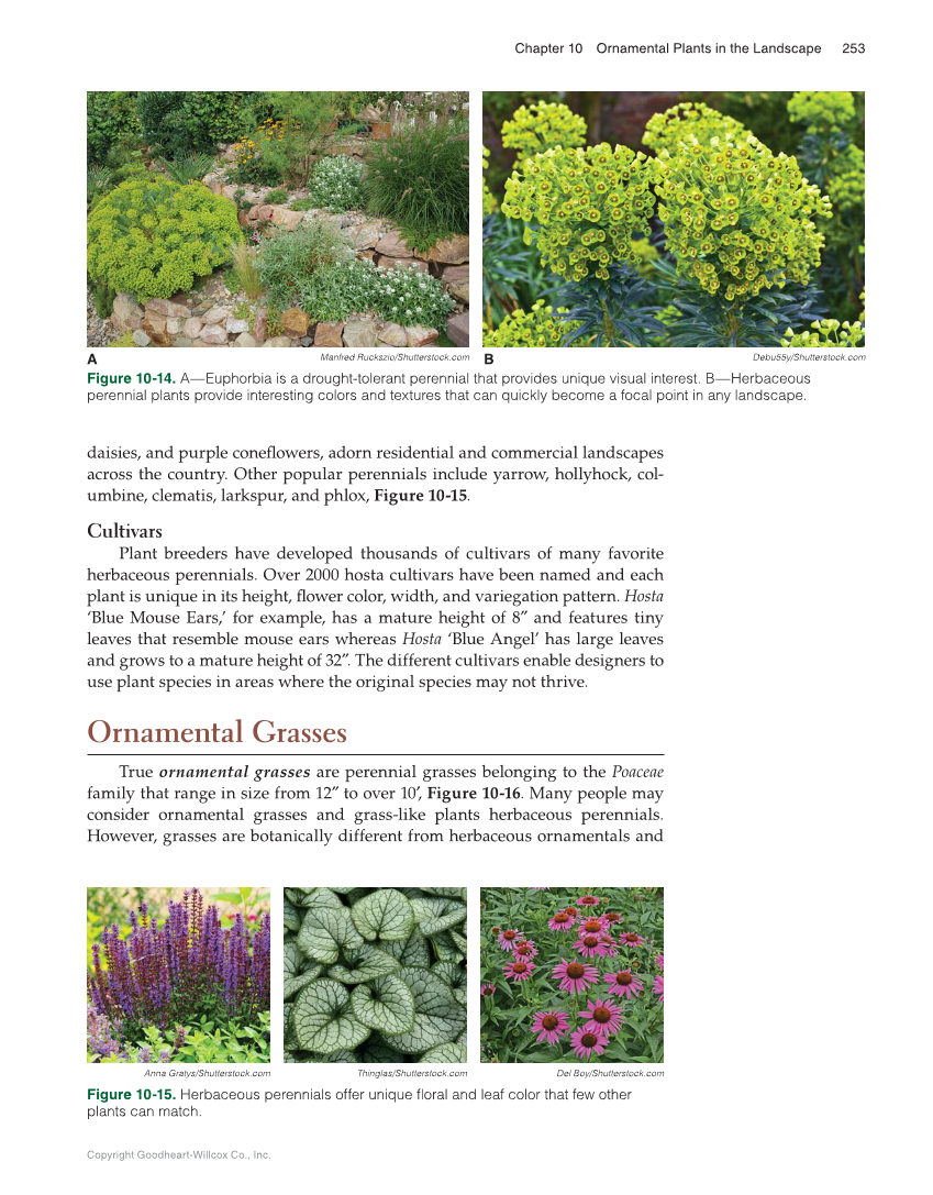 Landscape Design, Installation, and Management, 1st Edition page 253