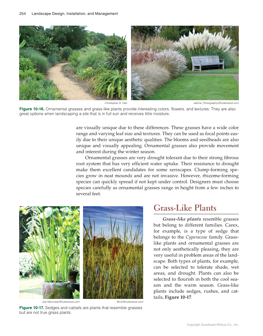 Landscape Design, Installation, and Management, 1st Edition page 254