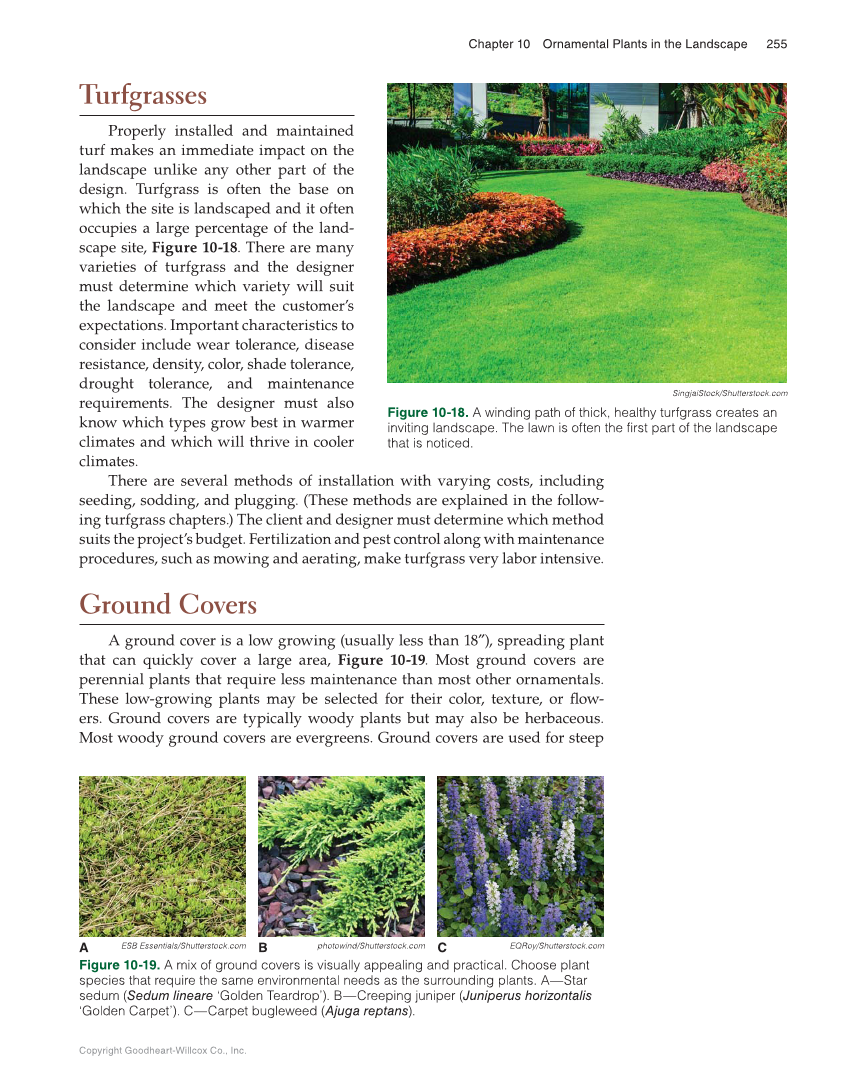 Landscape Design, Installation, and Management, 1st Edition page 255
