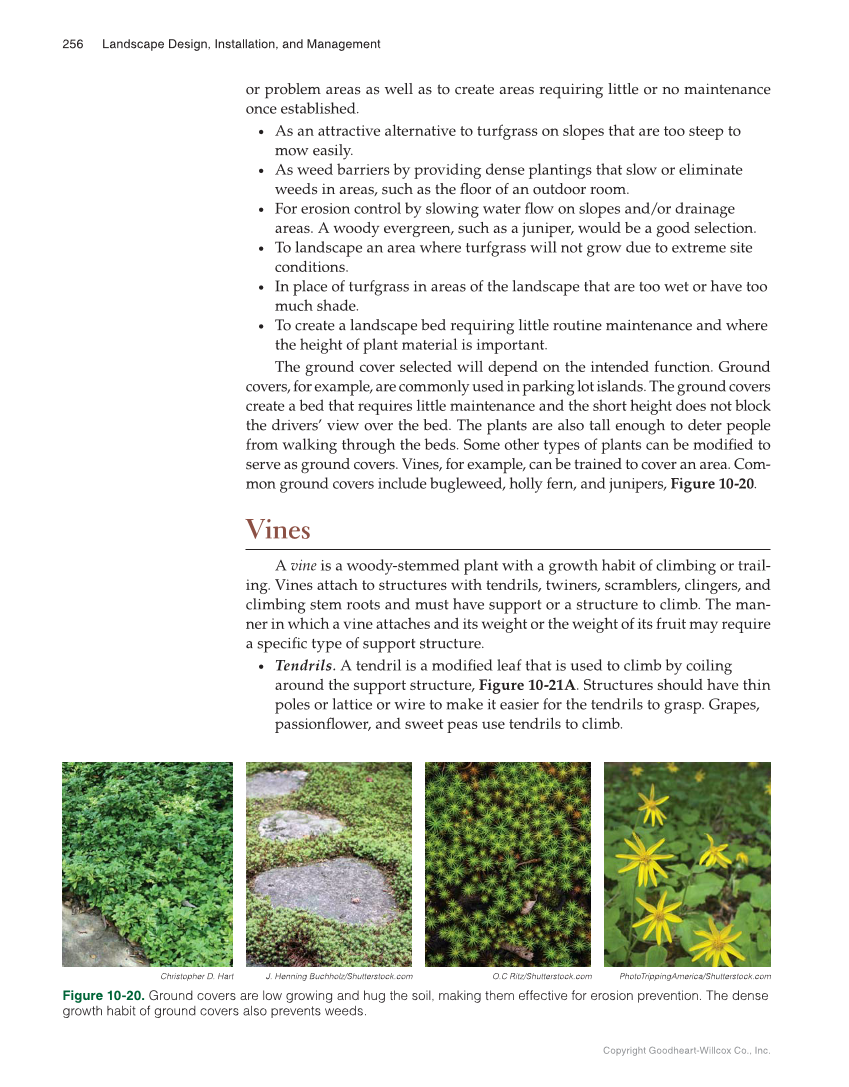 Landscape Design, Installation, and Management, 1st Edition page 256