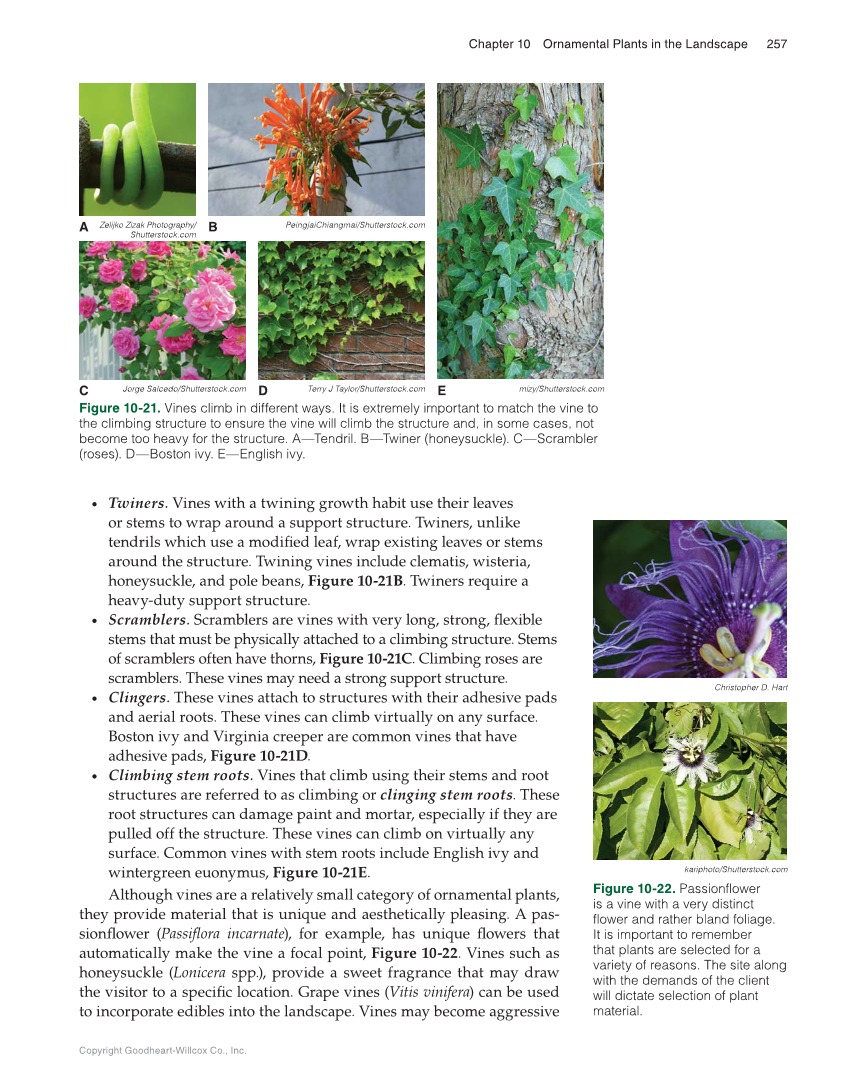 Landscape Design, Installation, and Management, 1st Edition page 257