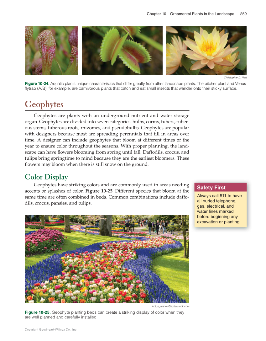 Landscape Design, Installation, and Management, 1st Edition page 259