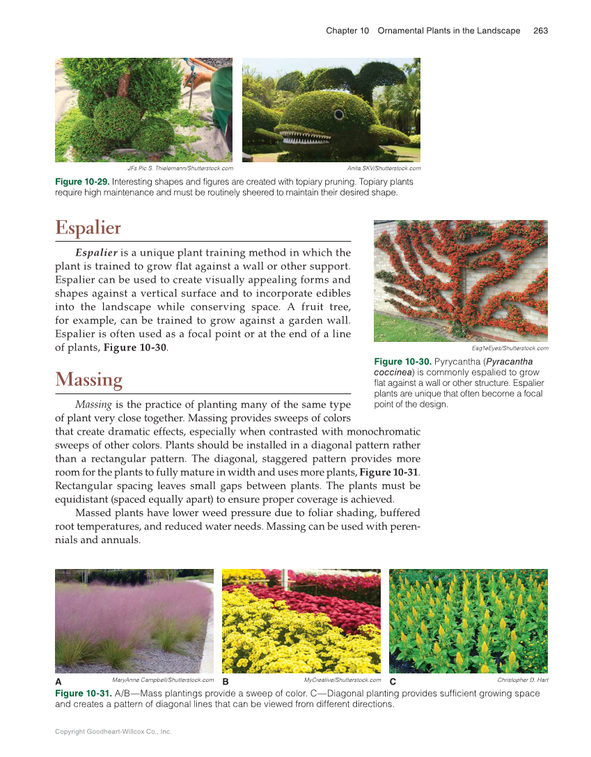 Landscape Design, Installation, and Management, 1st Edition page 263
