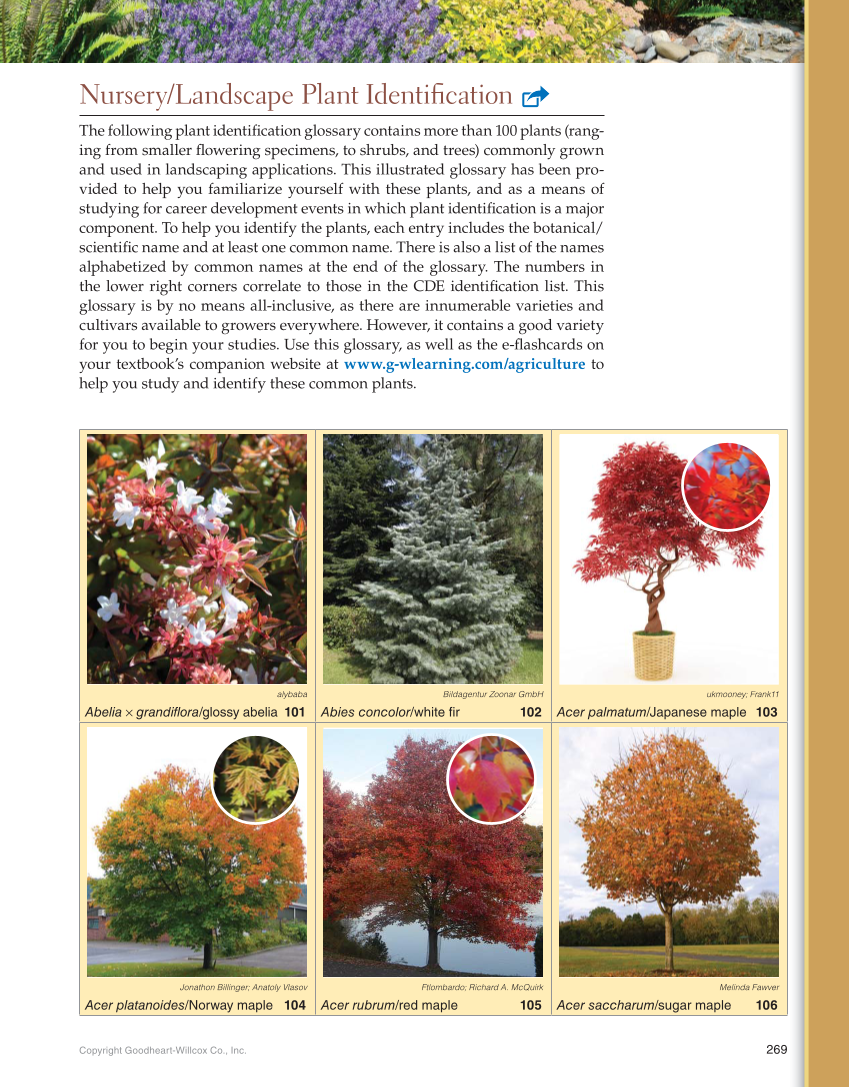 Landscape Design, Installation, and Management, 1st Edition page 269