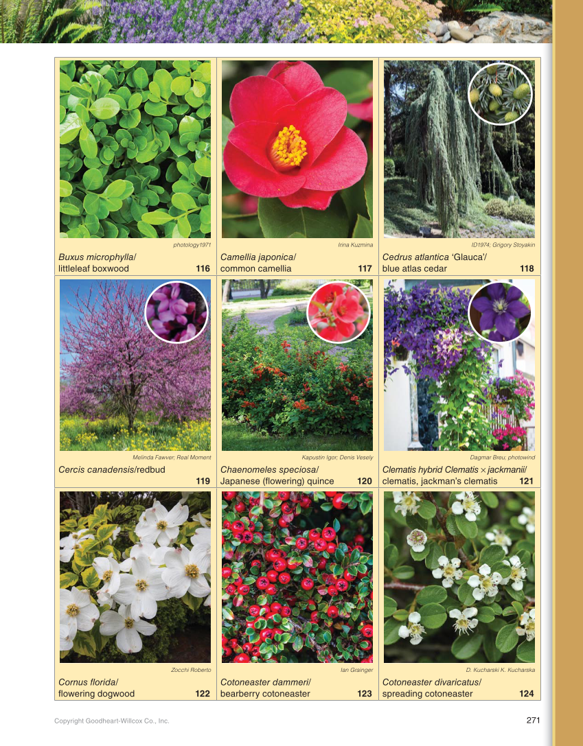 Landscape Design, Installation, and Management, 1st Edition page 271