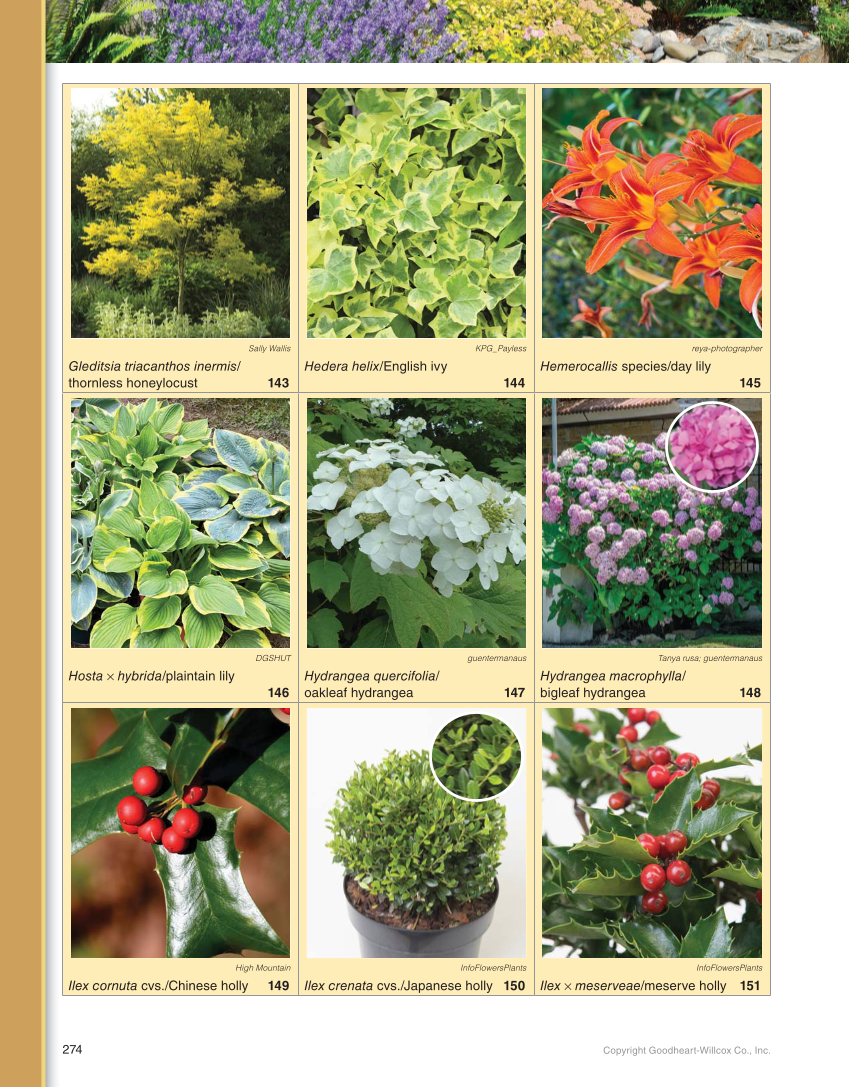 Landscape Design, Installation, and Management, 1st Edition page 274